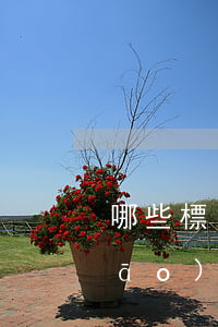哪些標(biāo)志不能作為商標(biāo)使用？
